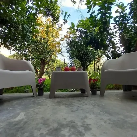 Appartement King Agis 2 *