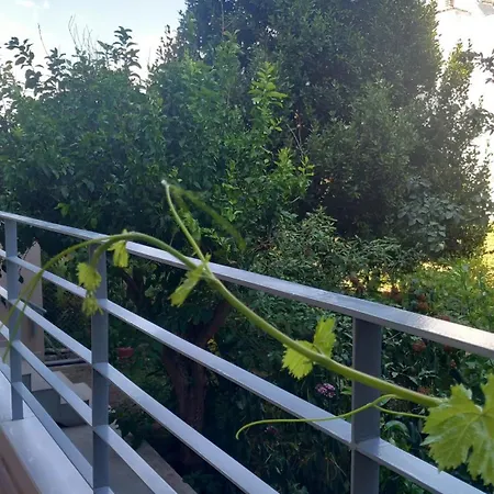 Appartement King Agis 2 *