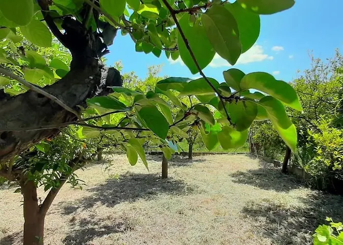 King Agis 2 Apartamento