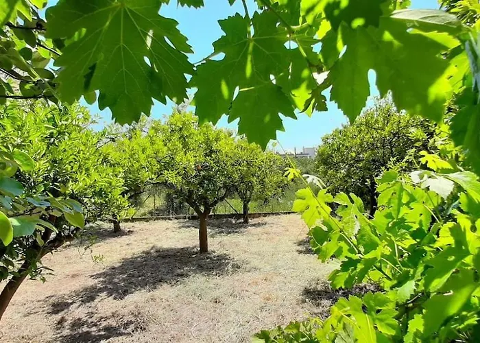 Apartamento King Agis 2